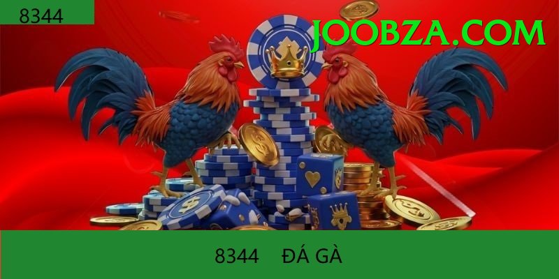 Đá Gà Trực Tiếp - Trải nghiệm tuyệt vời